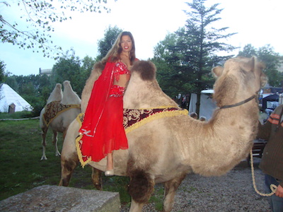 Tamme kameel te huur