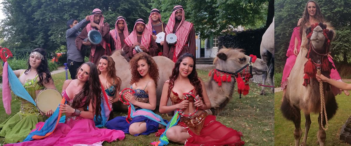 Tamme kamelen voor een Oase Themafeest