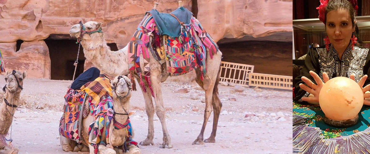 Verhuren van kamelen